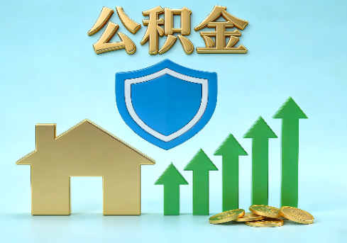 湖州当前住房公积金提取条件分类指南与政策趋势
